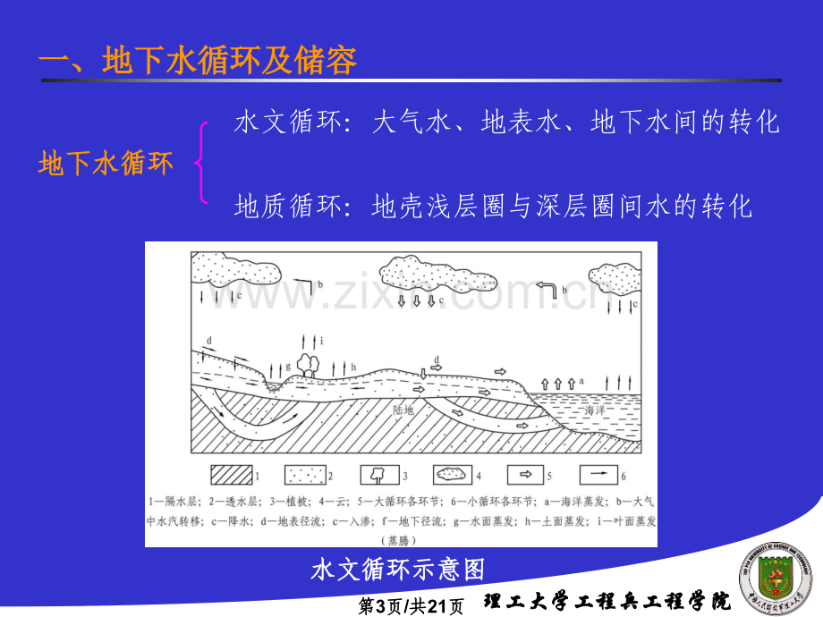 九海岸带地下水.pptx_第3页