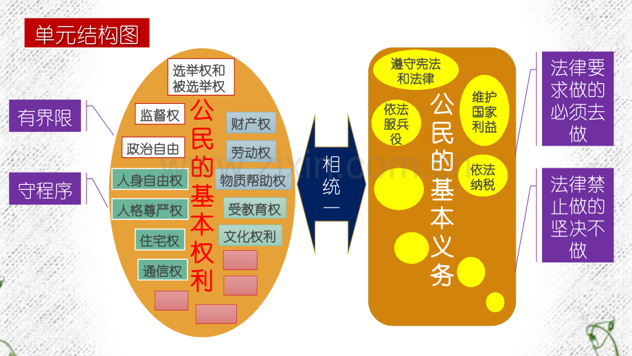 八下道德与法治复习.pptx_第2页