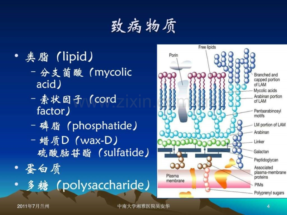 非结核分支杆菌感染.pptx_第3页