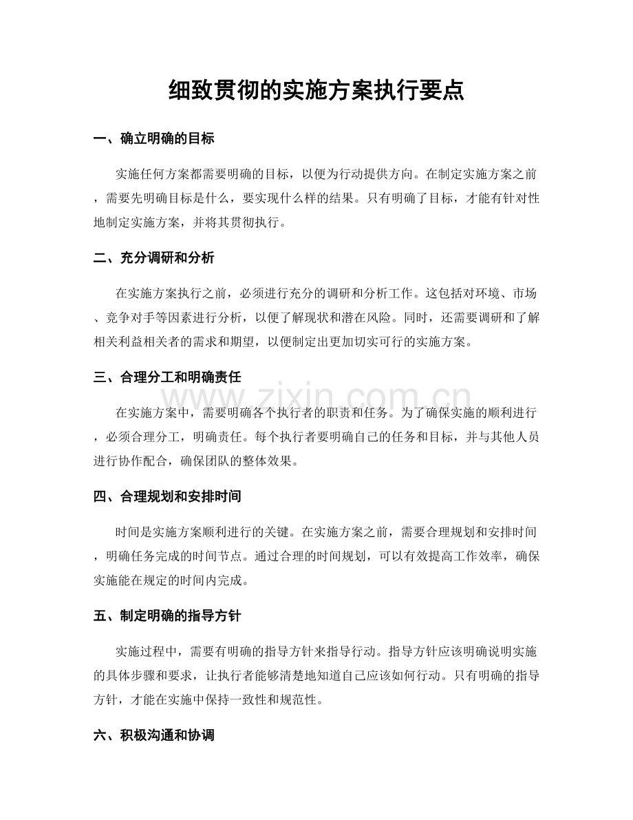 细致贯彻的实施方案执行要点.docx_第1页