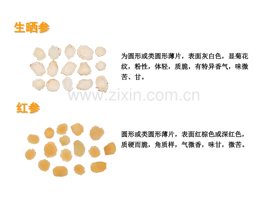 人参的炮制.pptx_第3页