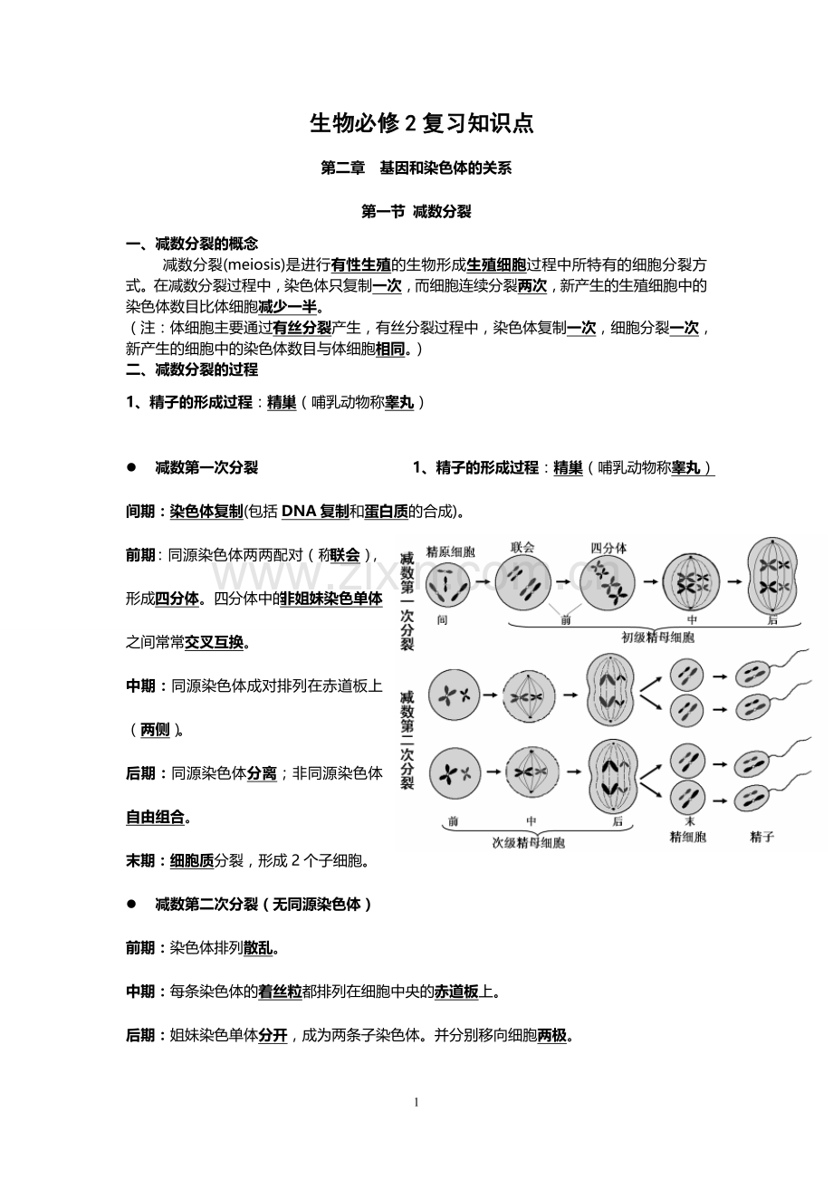 高中生物必修二知识点总结(精华版).doc_第1页