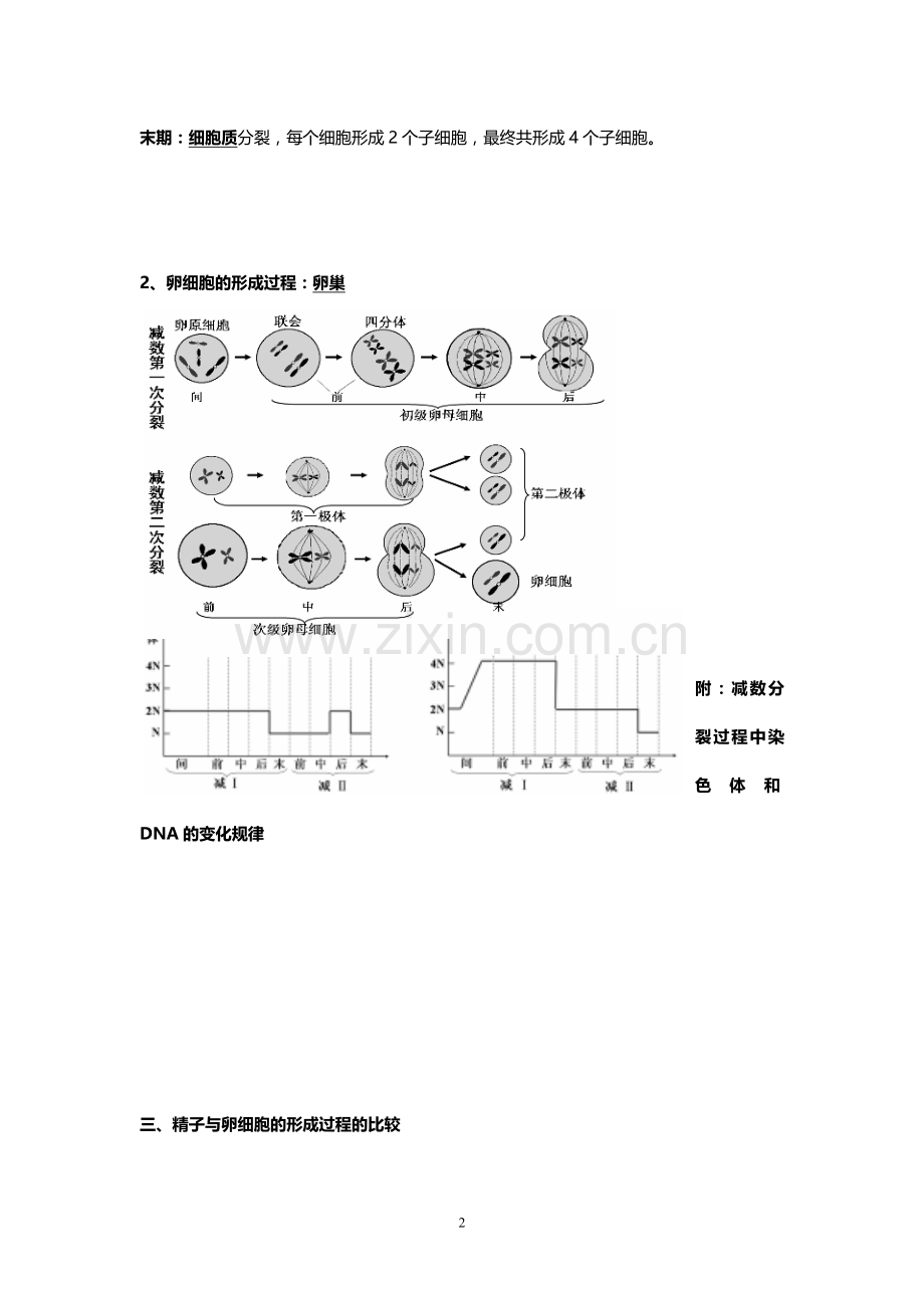 高中生物必修二知识点总结(精华版).doc_第2页