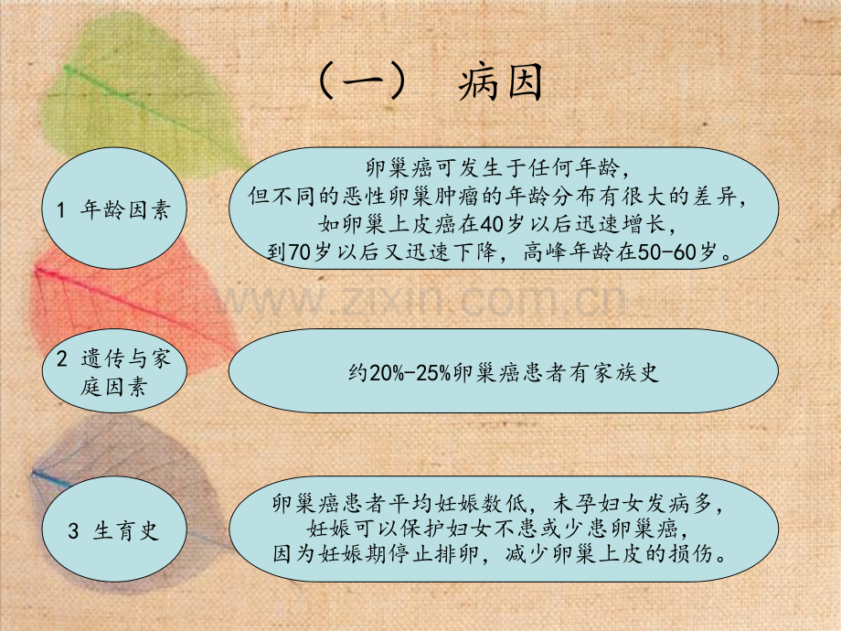 卵巢癌患者的护理计划.pptx_第3页