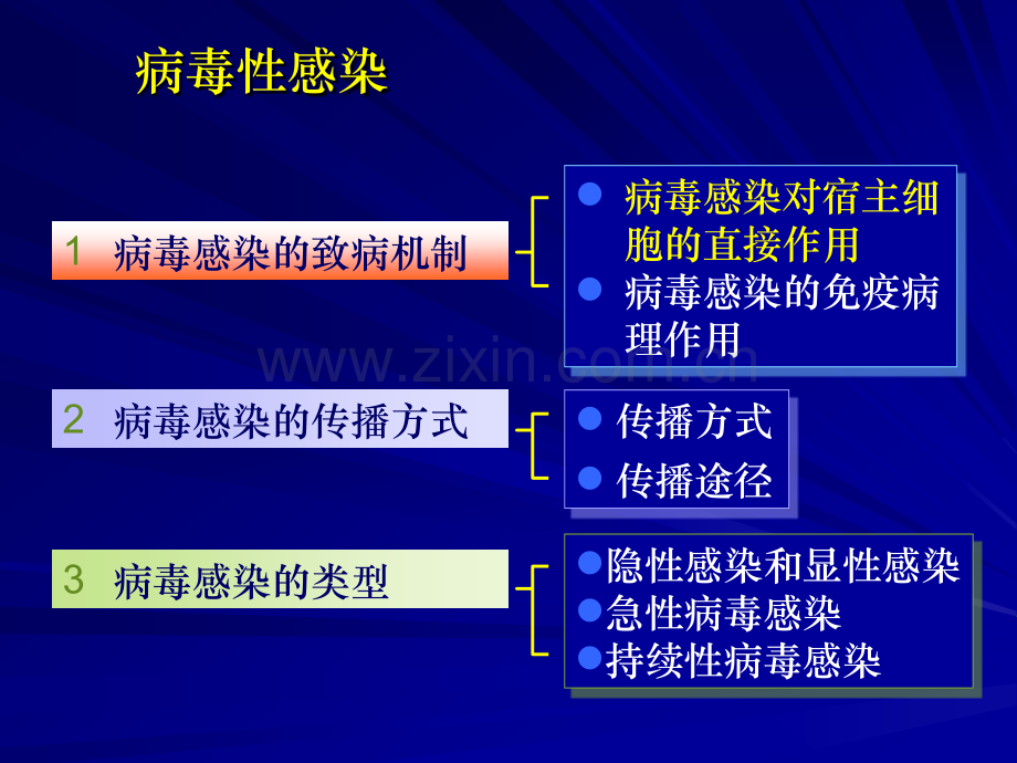 感染病毒性感染.pptx_第2页