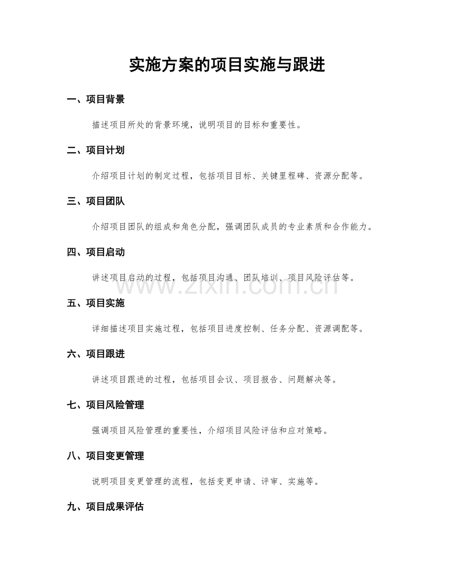 实施方案的项目实施与跟进.docx_第1页