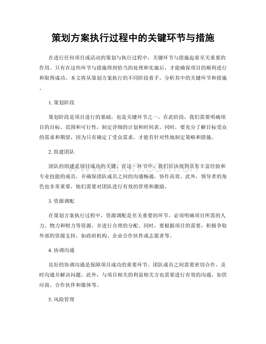 策划方案执行过程中的关键环节与措施.docx_第1页