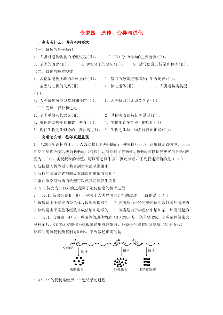 高三生物二轮复习专题四遗传变异与进化教案.doc_第1页