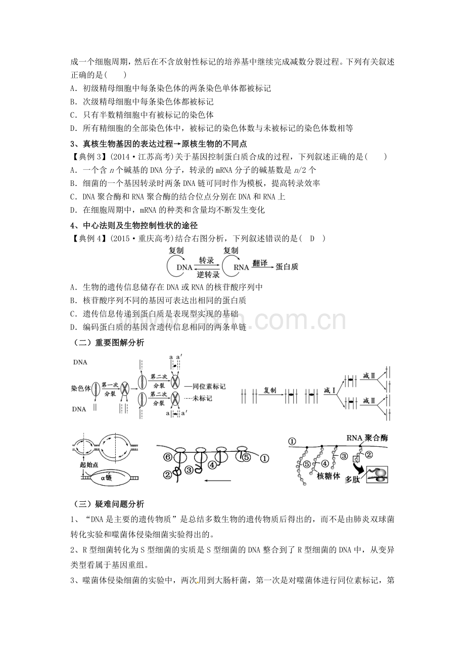 高三生物二轮复习专题四遗传变异与进化教案.doc_第3页