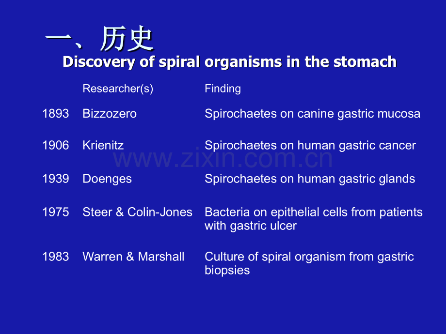 幽门螺杆菌Hpylori2.pptx_第2页