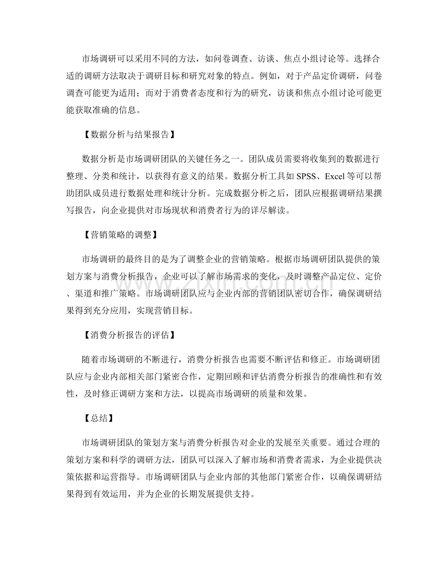 市场调研团队的策划方案与消费分析报告.docx_第2页