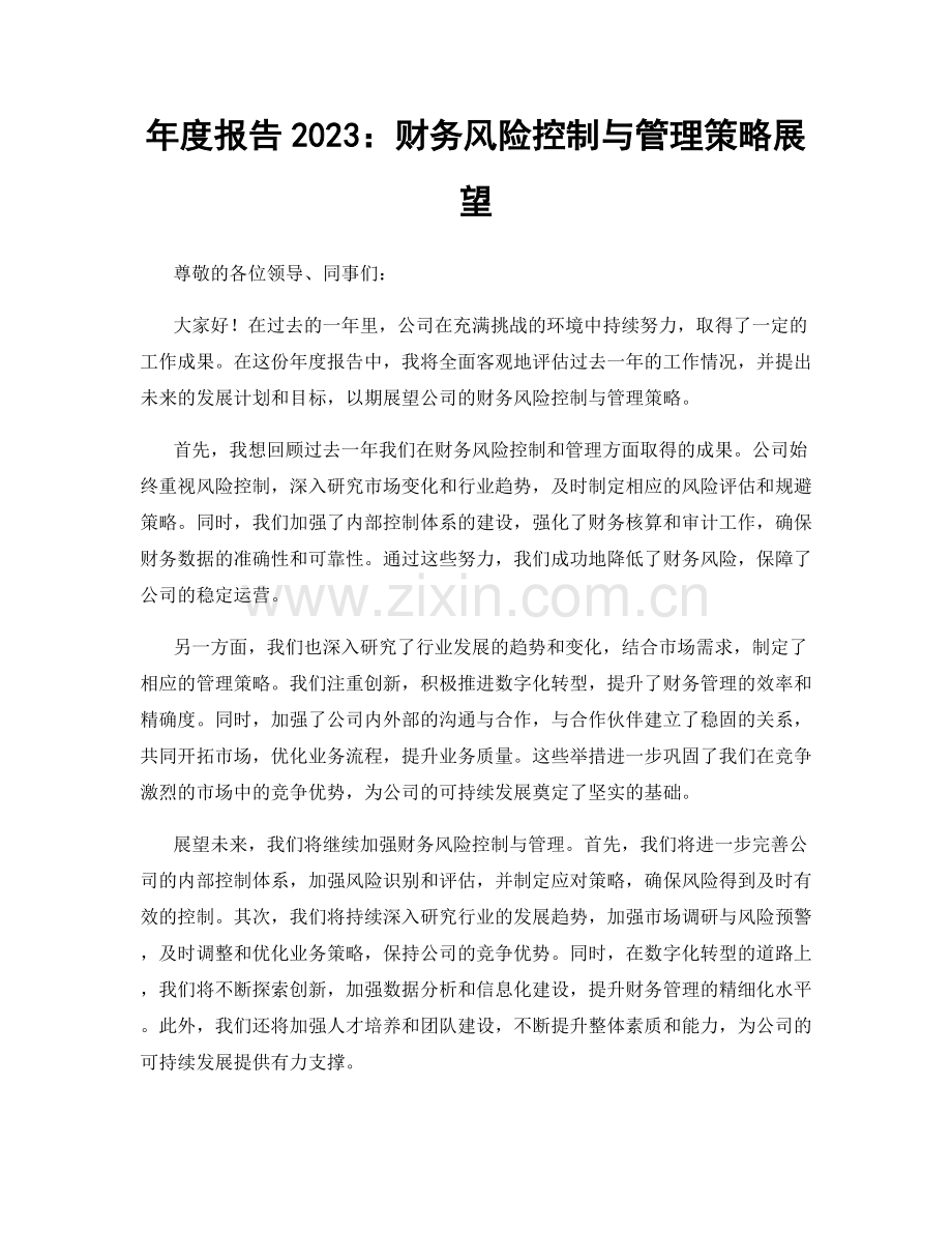 年度报告2023：财务风险控制与管理策略展望.docx_第1页