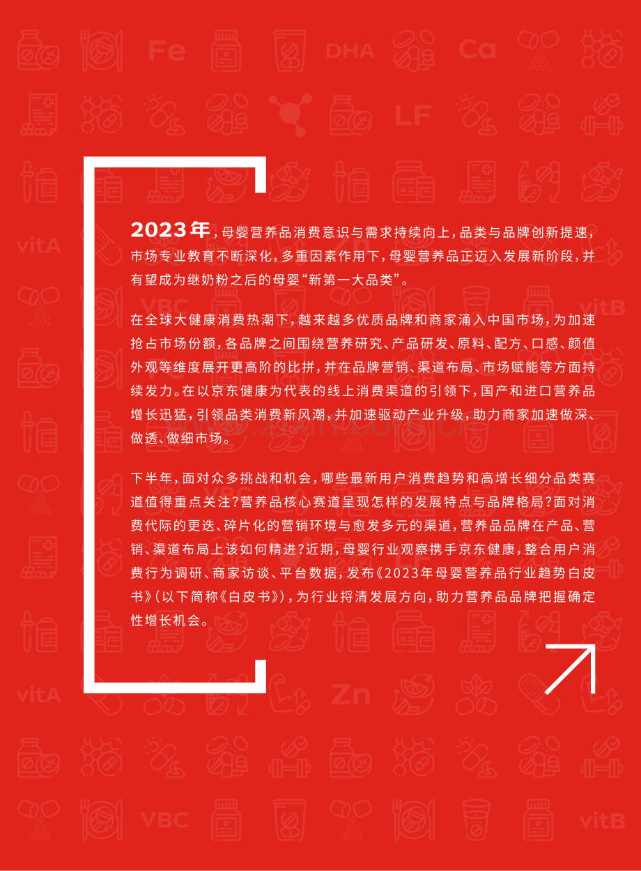 2023年母婴营养品行业趋势白皮书.pdf_第3页