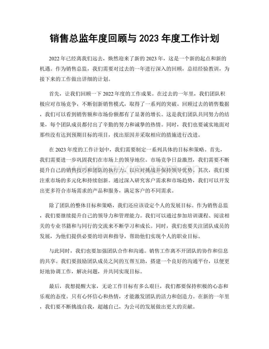 销售总监年度回顾与2023年度工作计划.docx_第1页