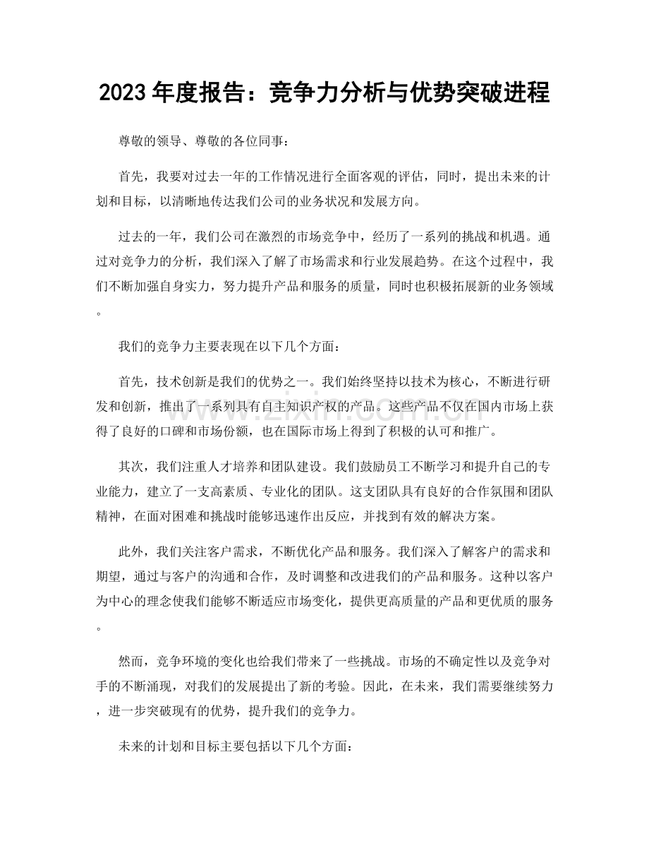 2023年度报告：竞争力分析与优势突破进程.docx_第1页