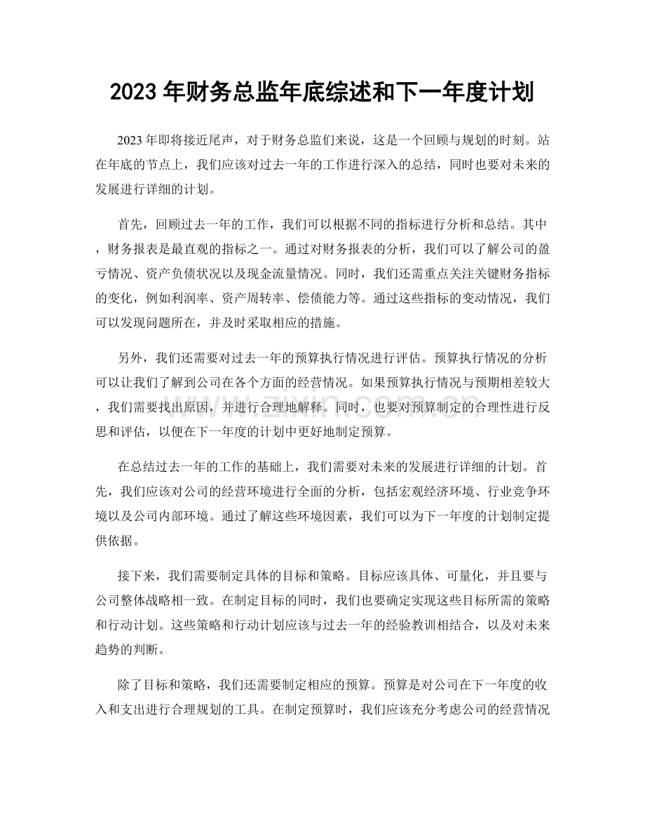 2023年财务总监年底综述和下一年度计划.docx_第1页