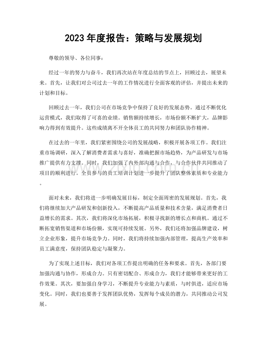 2023年度报告：策略与发展规划.docx_第1页