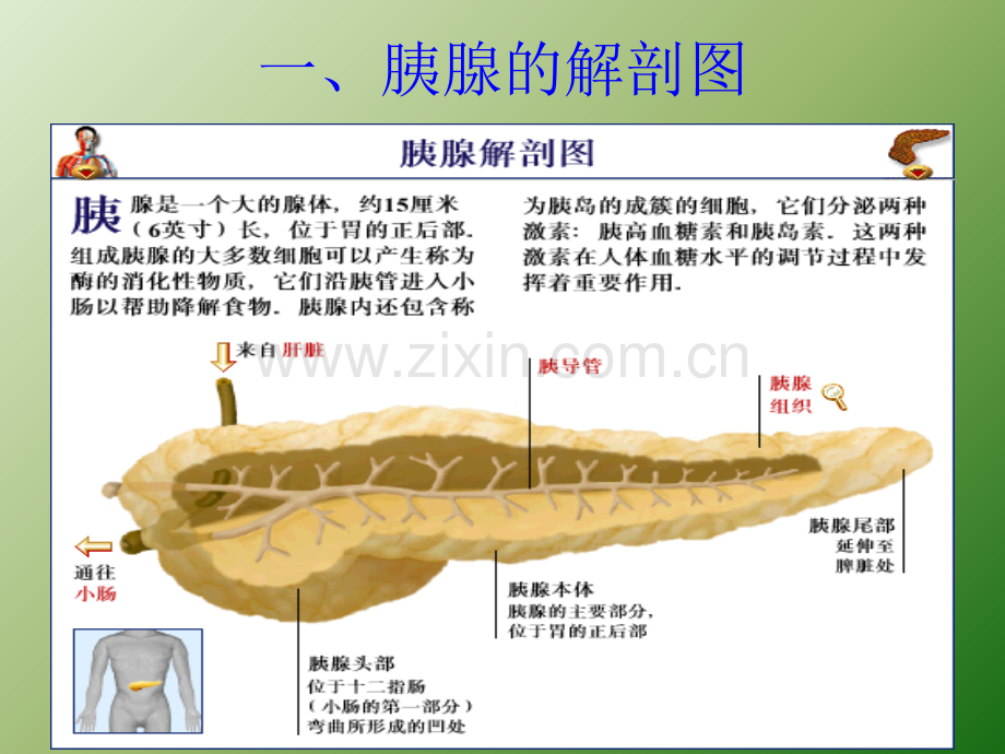 急性胰腺炎的饮食指导.ppt_第3页