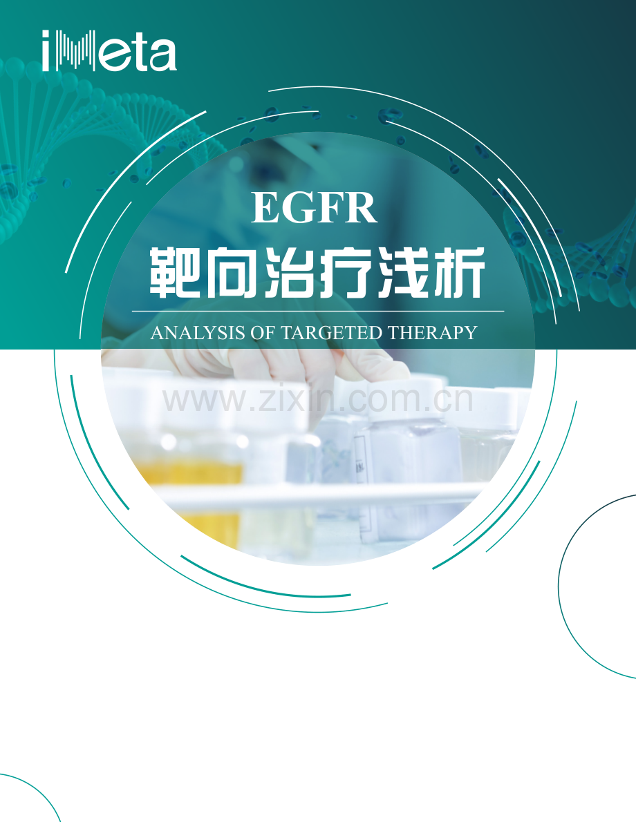 EGFR靶向治疗药物浅析报告.pdf_第1页