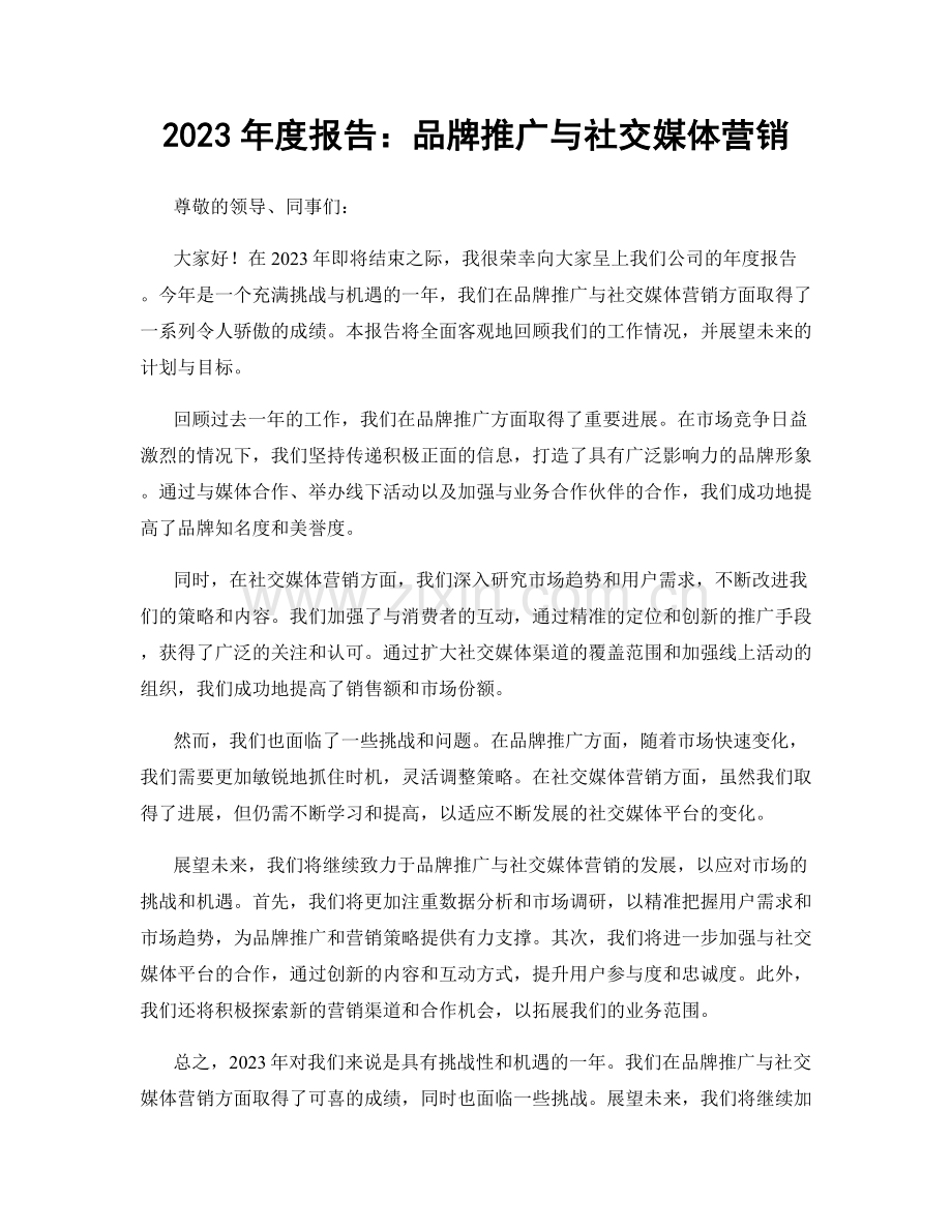 2023年度报告：品牌推广与社交媒体营销.docx_第1页