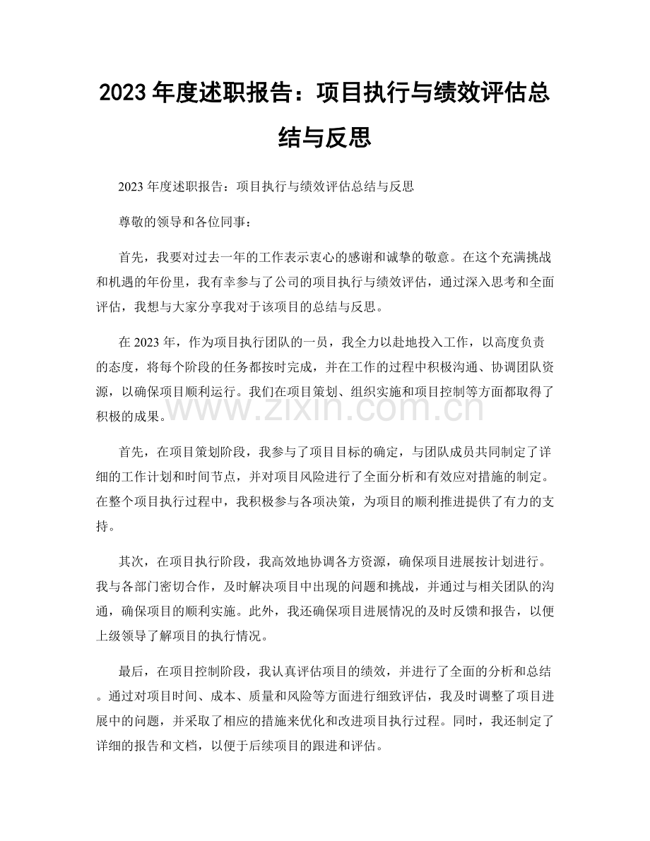 2023年度述职报告：项目执行与绩效评估总结与反思.docx_第1页