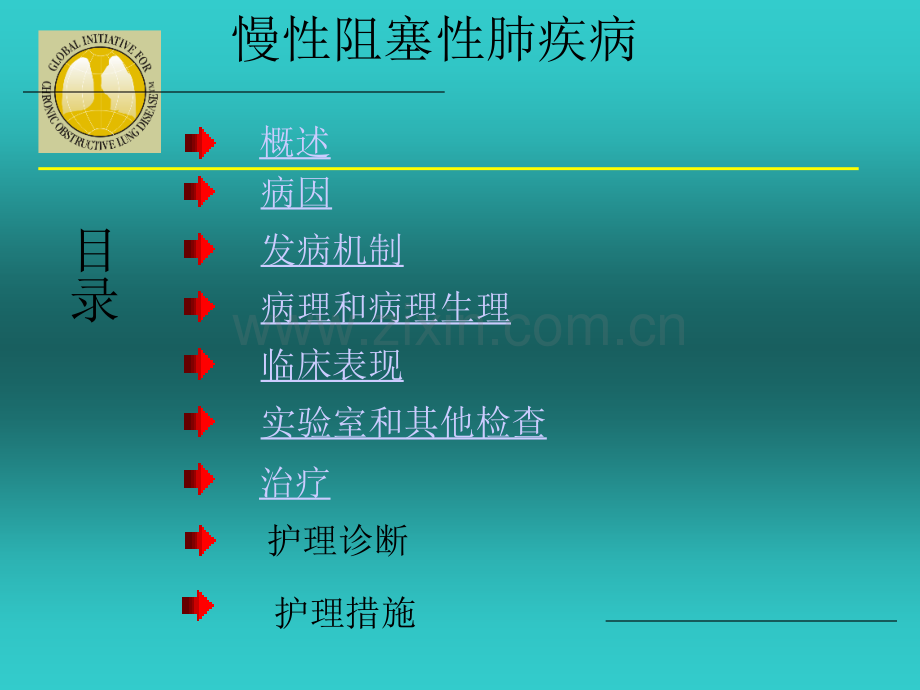 慢阻肺-内科护理学.ppt_第2页