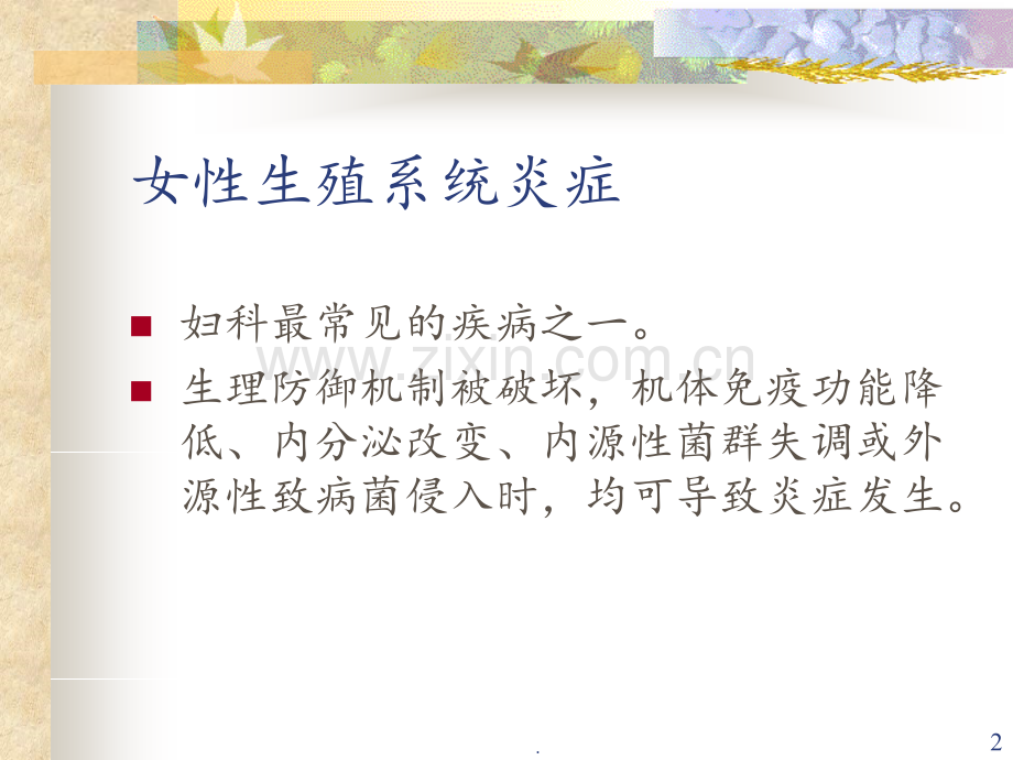 女性生殖系统炎症及STD(2).ppt_第2页