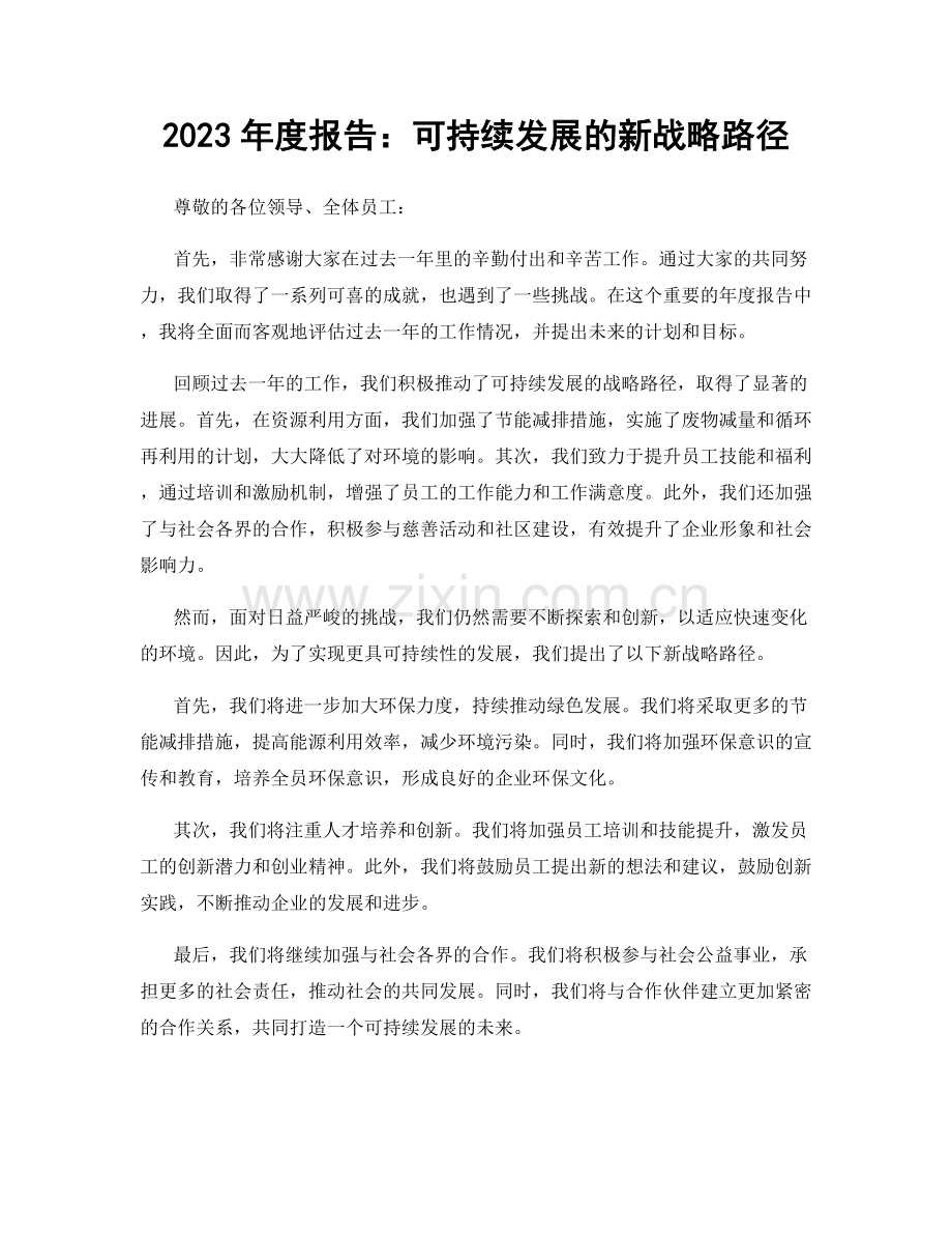 2023年度报告：可持续发展的新战略路径.docx_第1页