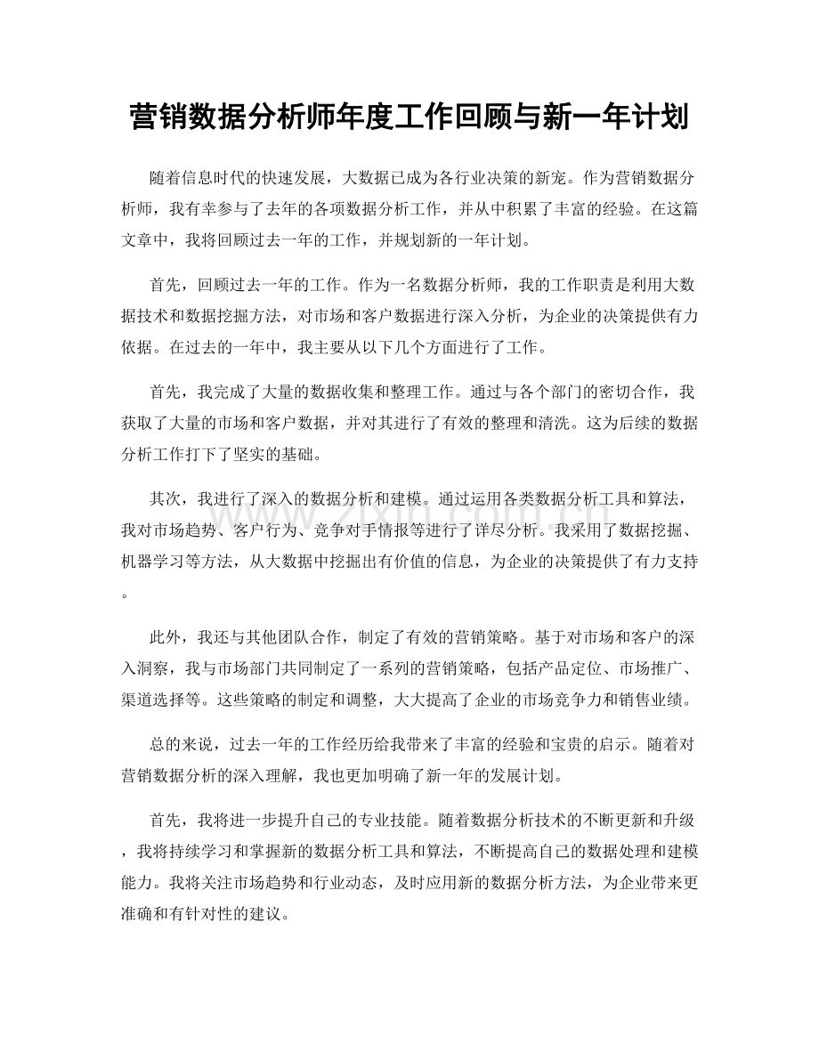 营销数据分析师年度工作回顾与新一年计划.docx_第1页