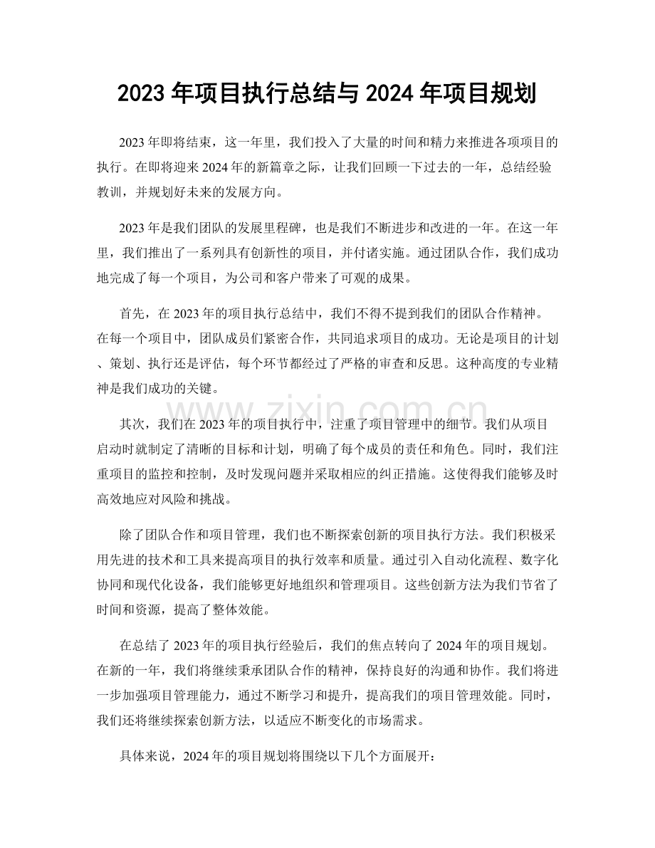 2023年项目执行总结与2024年项目规划.docx_第1页