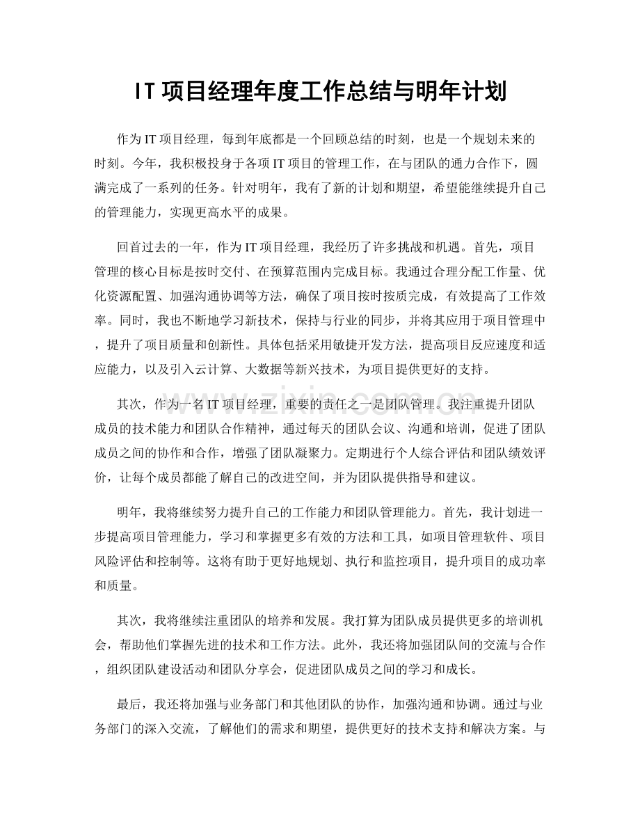 IT项目经理年度工作总结与明年计划.docx_第1页