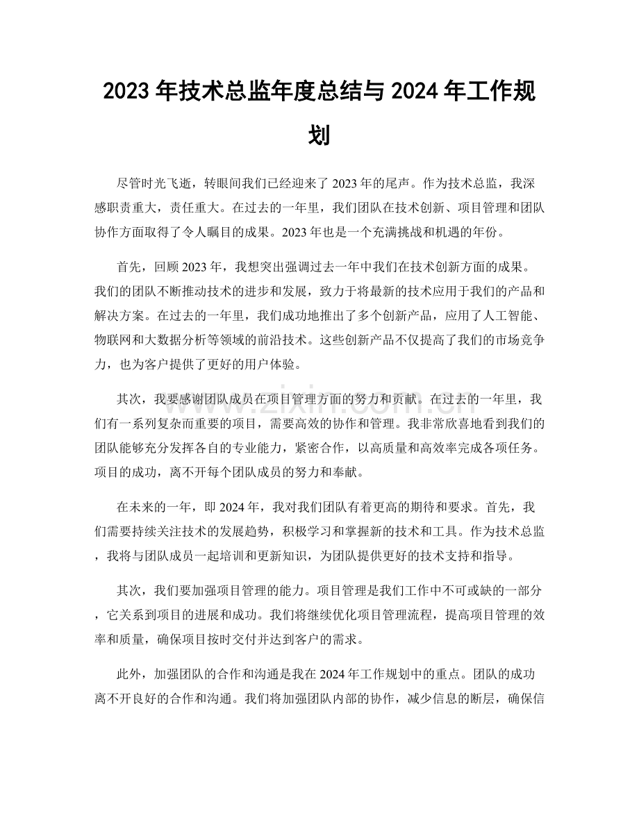 2023年技术总监年度总结与2024年工作规划.docx_第1页