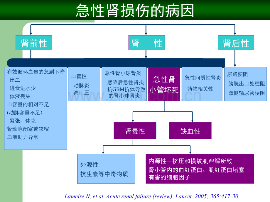 急性肾损伤(AKI).ppt_第3页