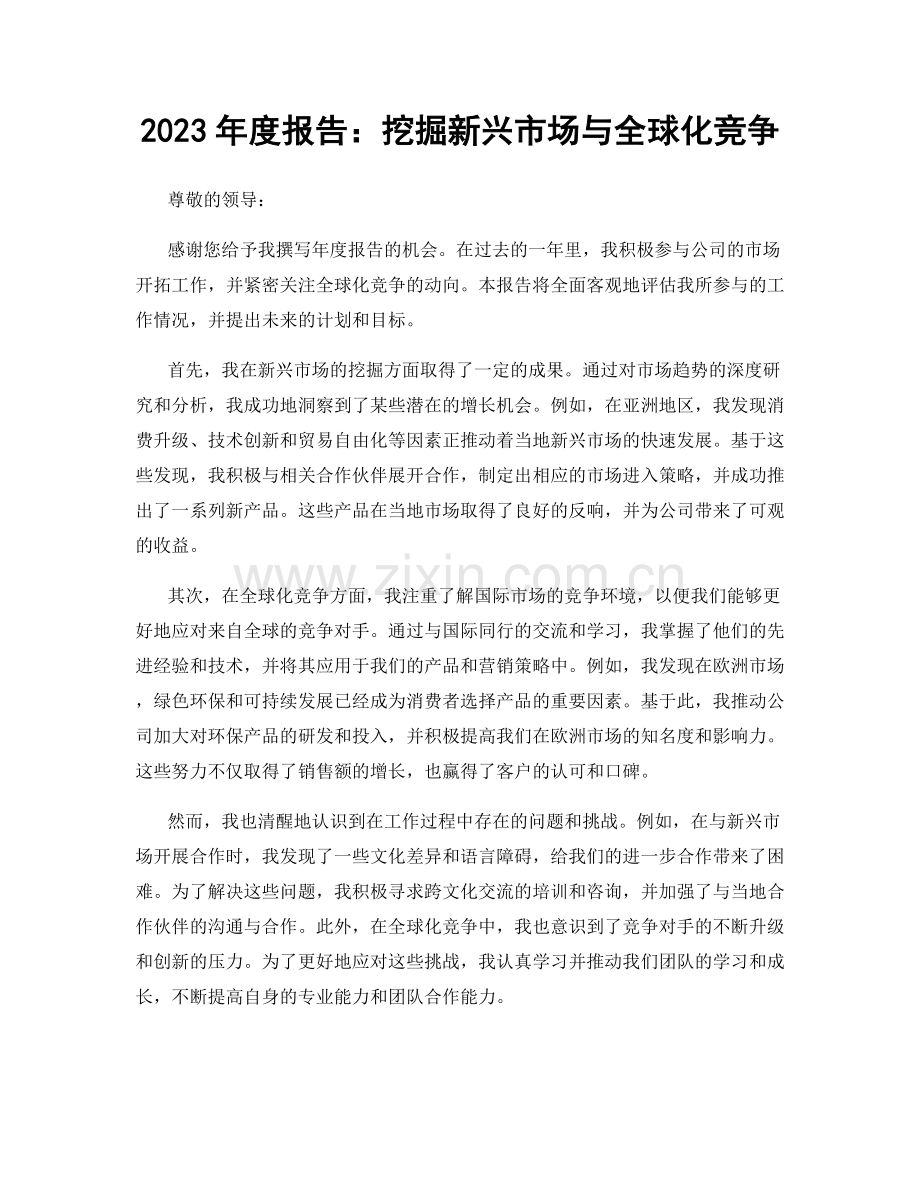 2023年度报告：挖掘新兴市场与全球化竞争.docx_第1页