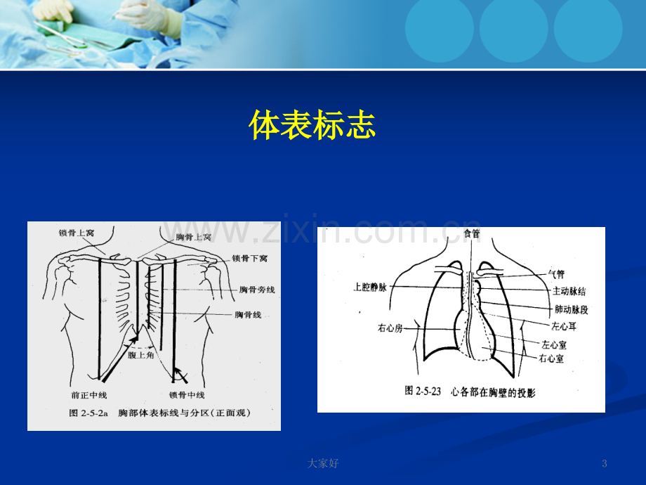 心内科体格检查.ppt_第3页