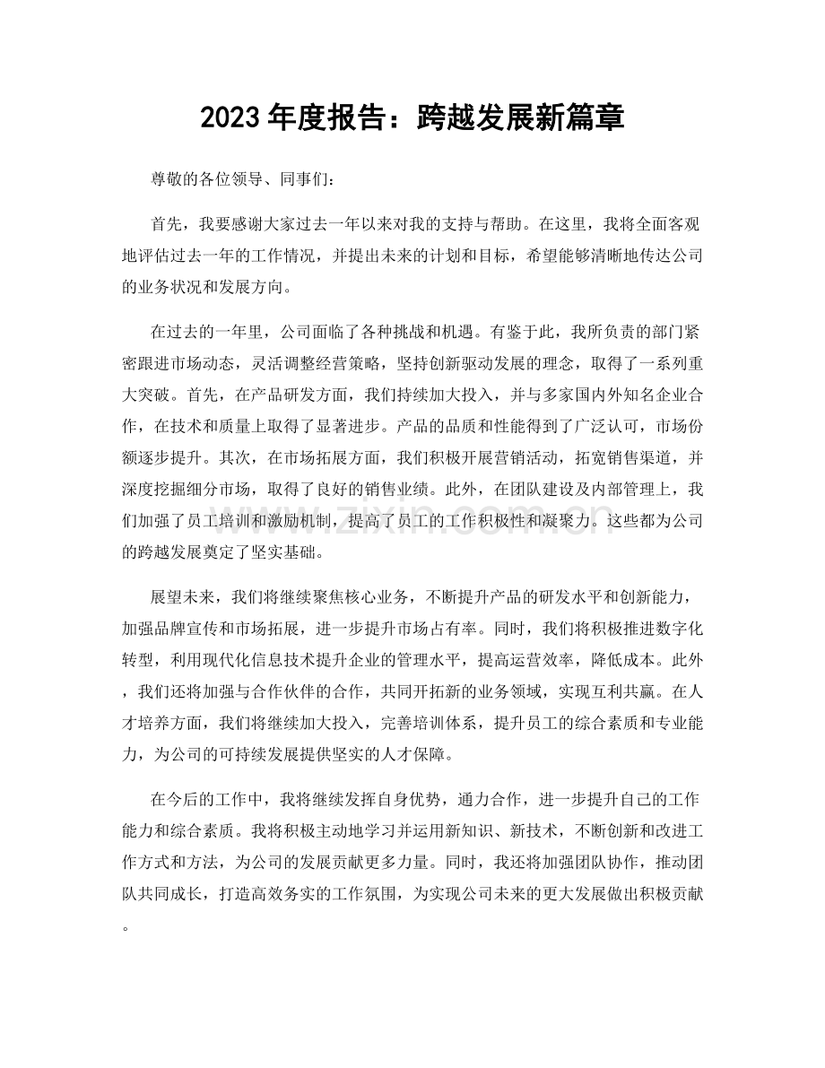 2023年度报告：跨越发展新篇章.docx_第1页