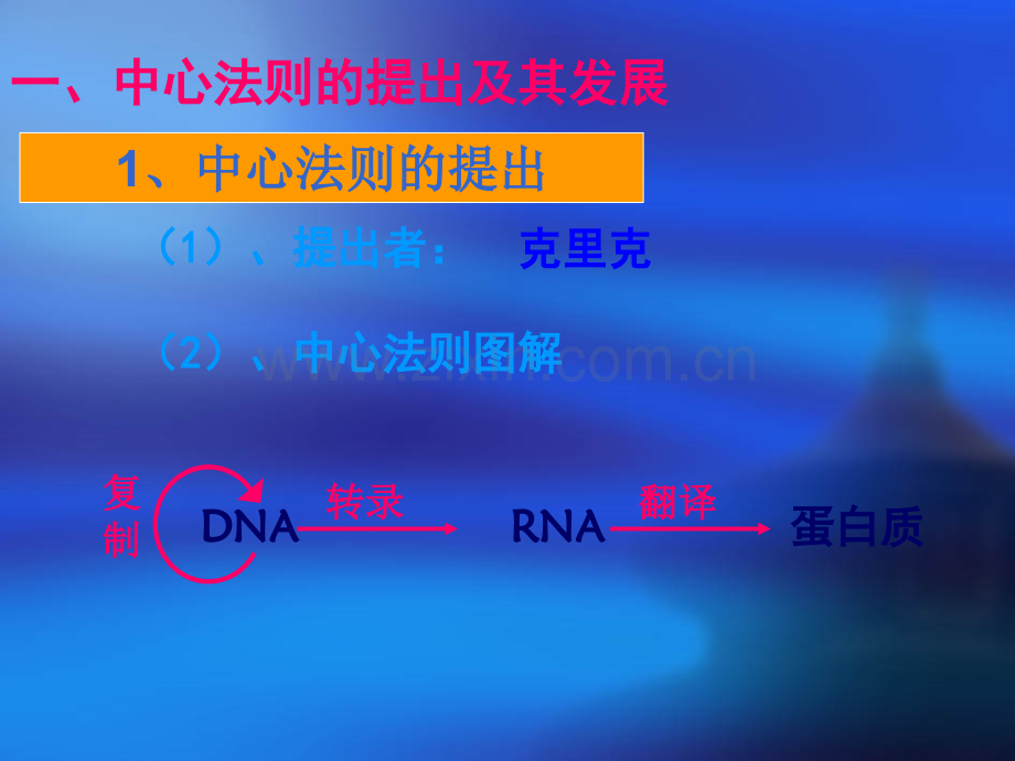 基因控制性状...ppt_第3页