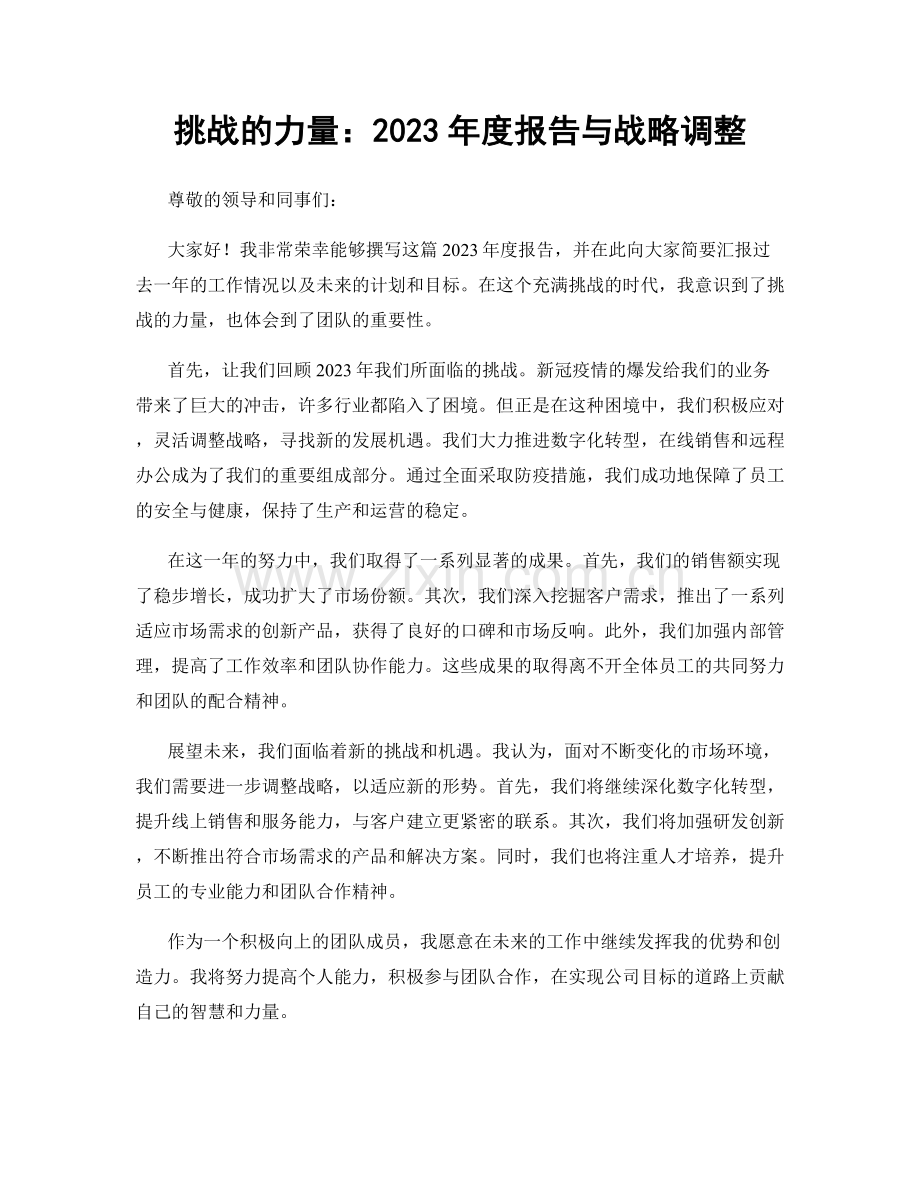 挑战的力量：2023年度报告与战略调整.docx_第1页