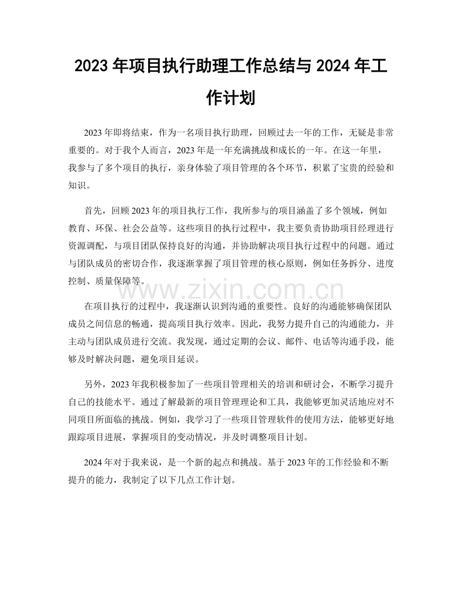 2023年项目执行助理工作总结与2024年工作计划.docx_第1页