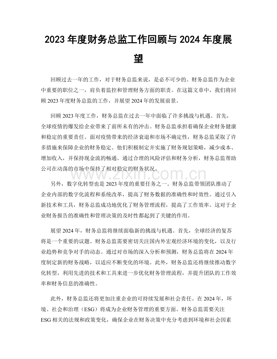 2023年度财务总监工作回顾与2024年度展望.docx_第1页