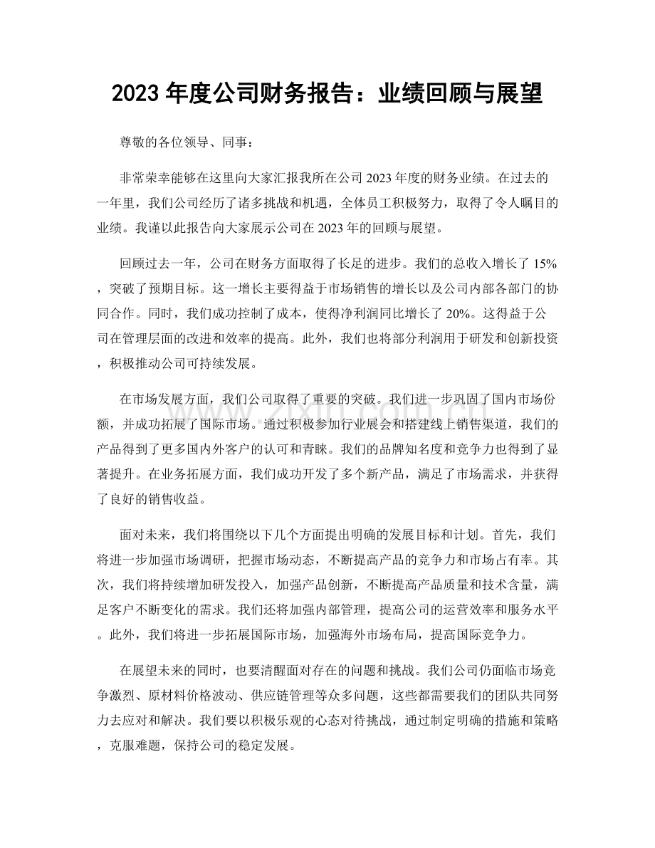 2023年度公司财务报告：业绩回顾与展望.docx_第1页