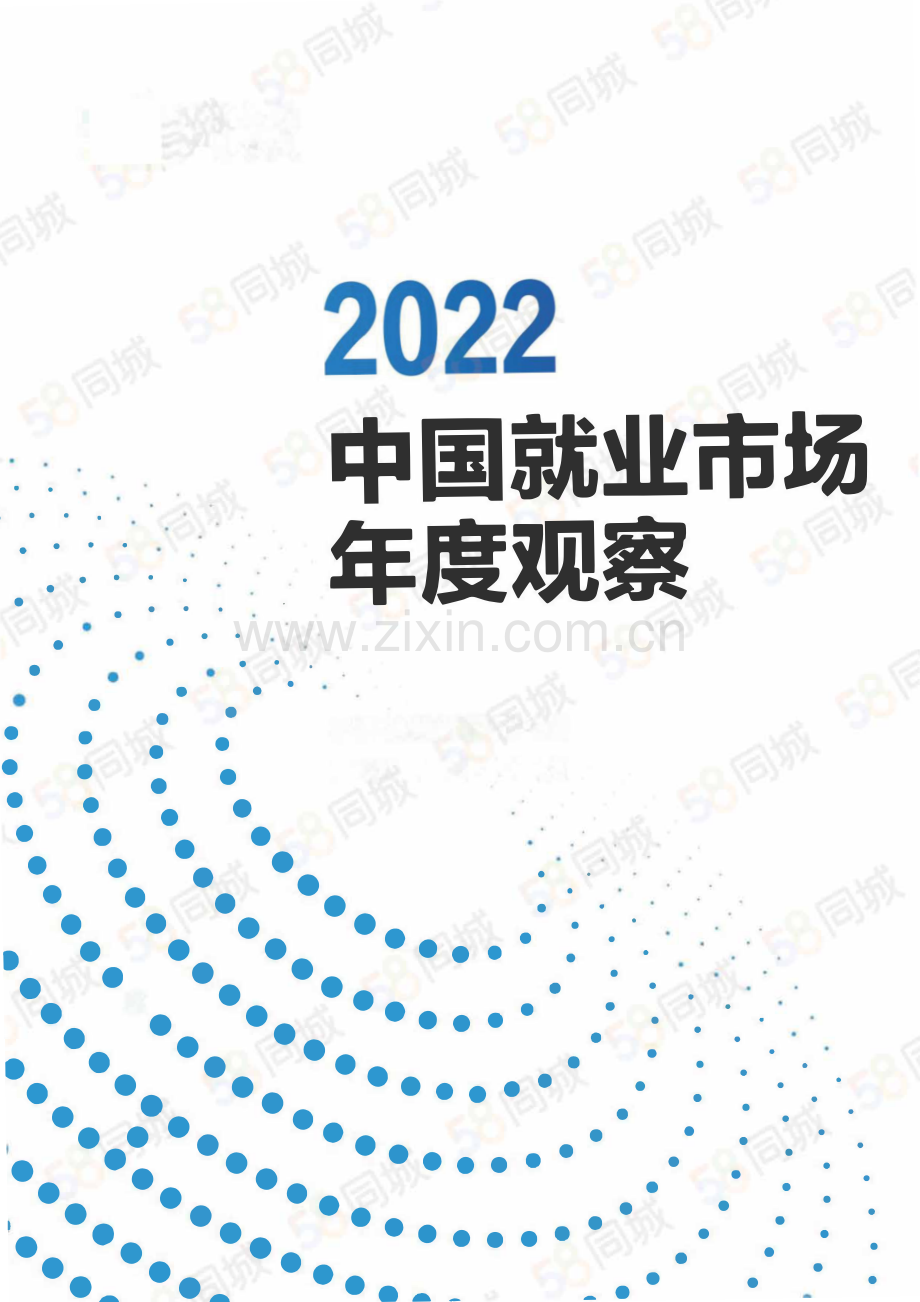 2022年中国就业市场年度观察.pdf_第1页