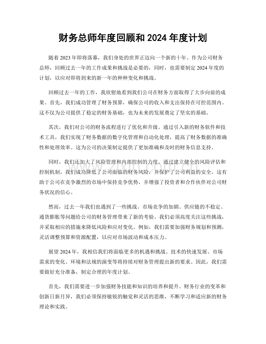 财务总师年度回顾和2024年度计划.docx_第1页