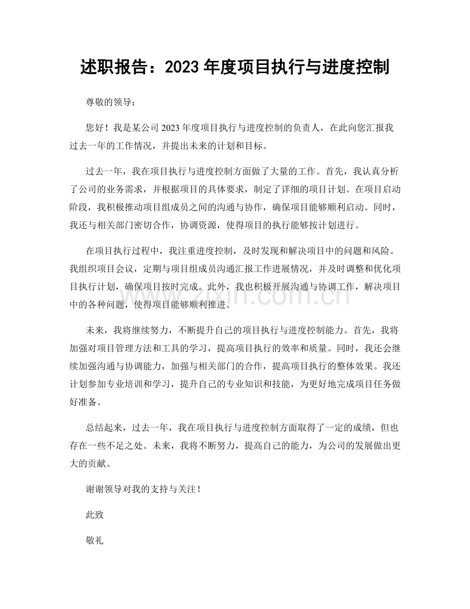 述职报告：2023年度项目执行与进度控制.docx_第1页