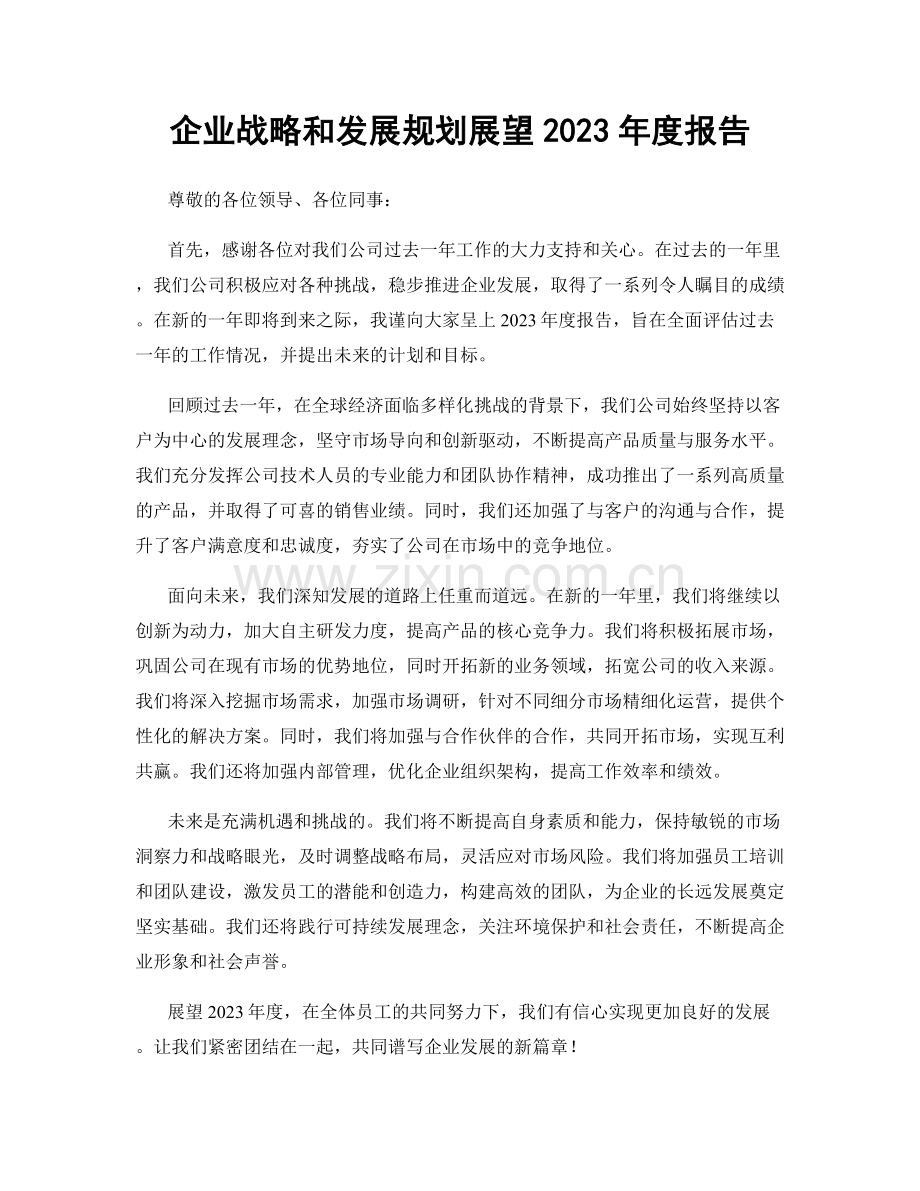 企业战略和发展规划展望2023年度报告.docx_第1页