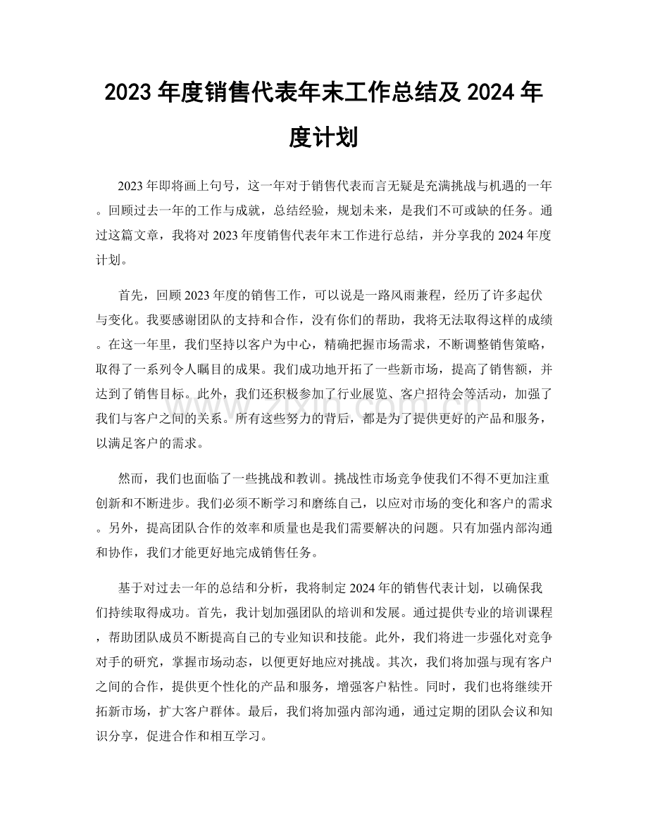 2023年度销售代表年末工作总结及2024年度计划.docx_第1页