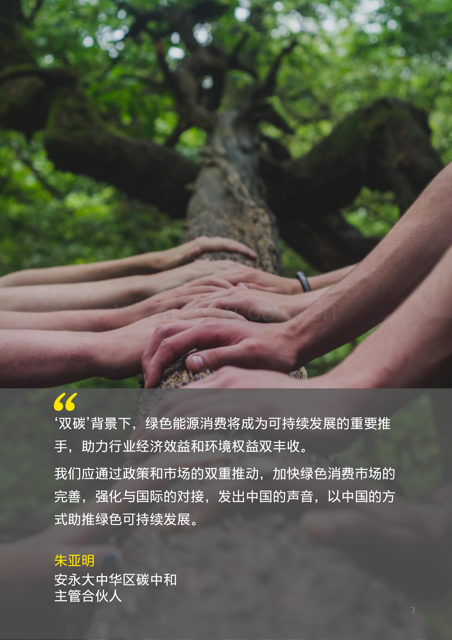 EY绿电交易：助推绿色能源消费.pdf_第3页