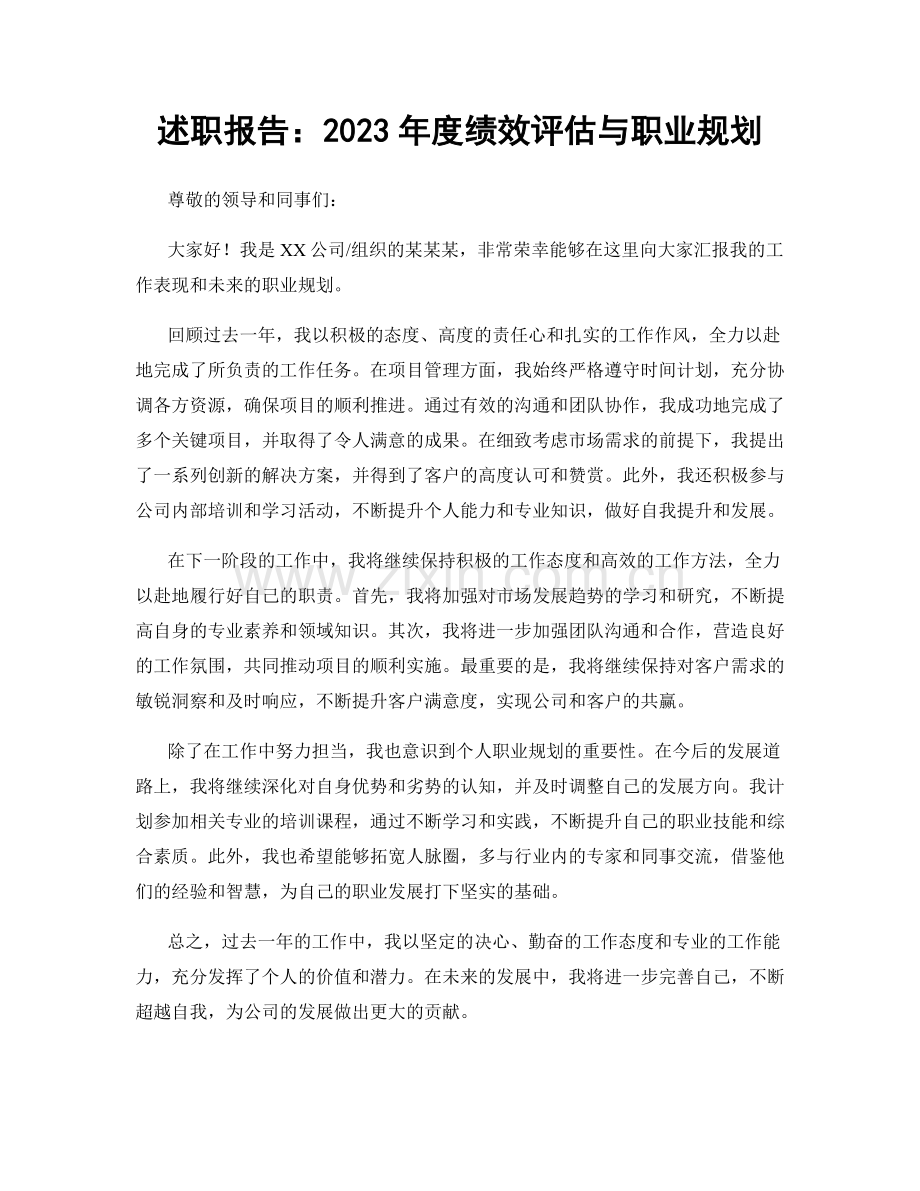 述职报告：2023年度绩效评估与职业规划.docx_第1页