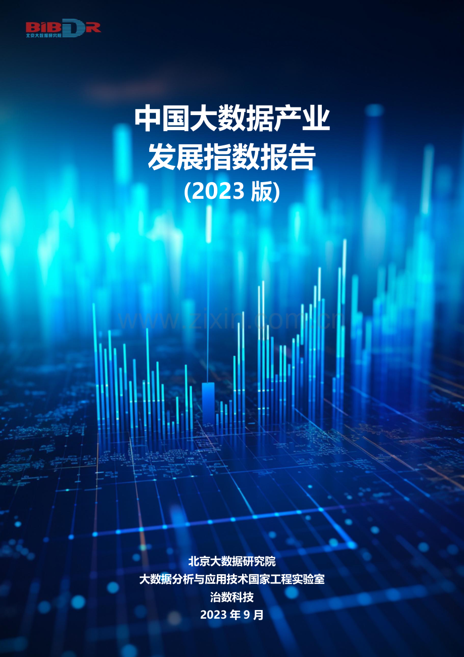 2023中国大数据产业发展指数报告.pdf_第1页