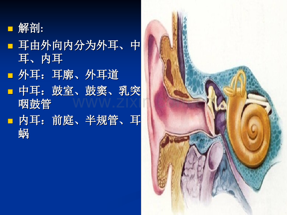 慢性中耳炎的护理ppt课件.ppt_第3页